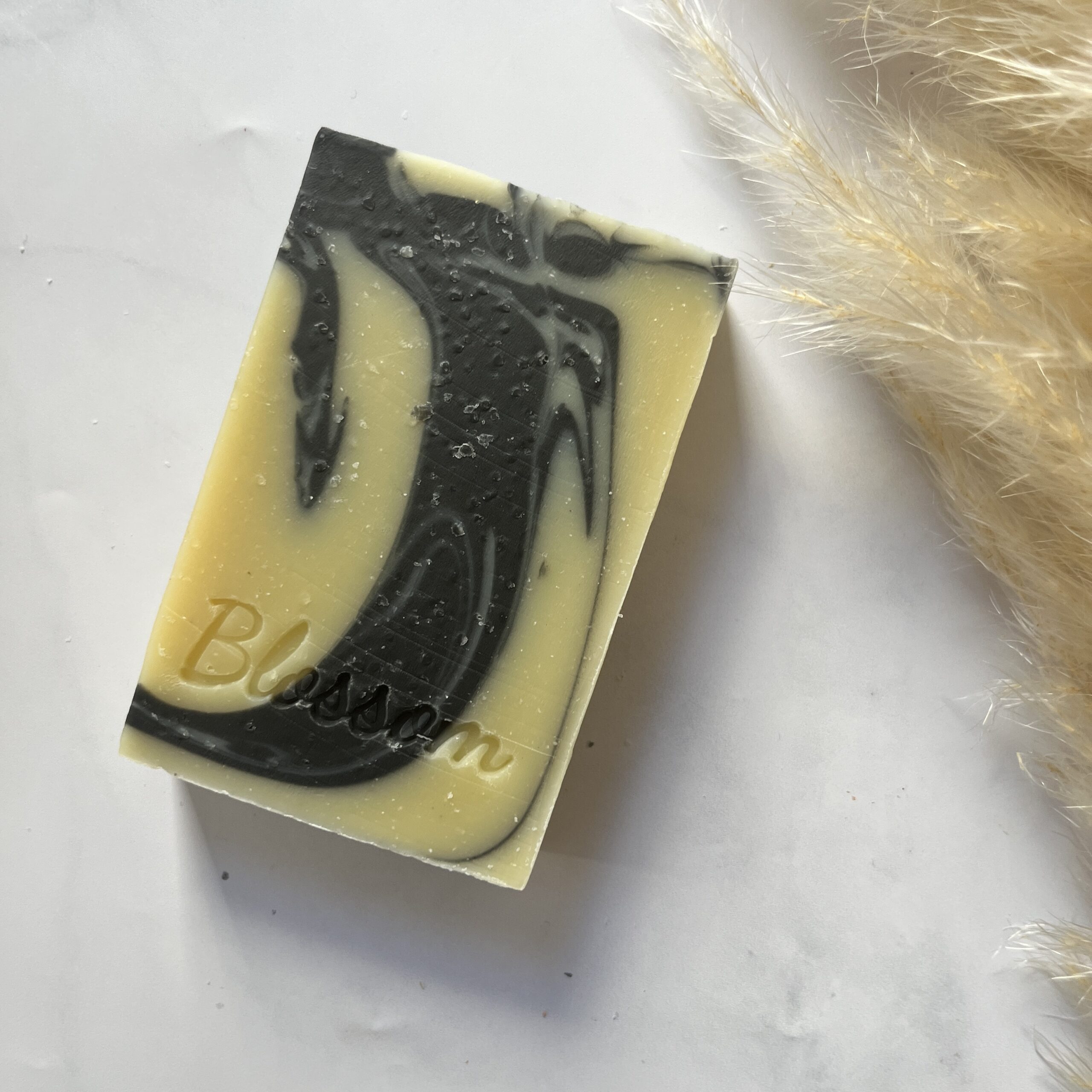 savon exfoliant aux coquilles d'huîtres au charbon et à l'huile d'amande douce pour le corps et la barbe