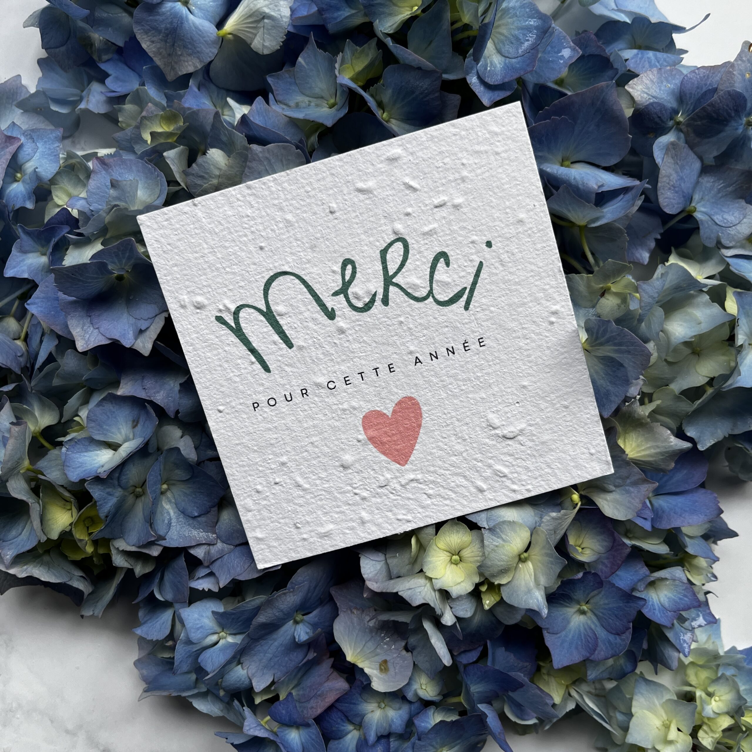 carte à planter maîtresse