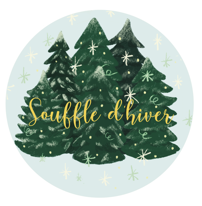 Savon de Noël senteur sapin de Noël