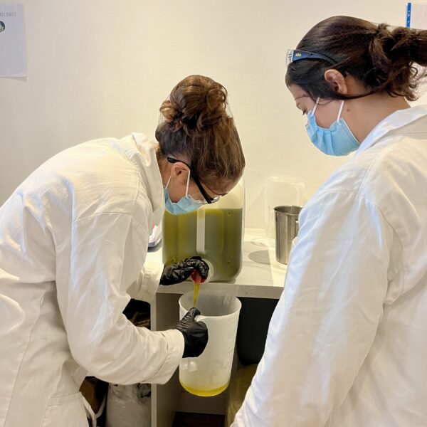 atelier savonnerie en groupe à Lorient dans le Morbihan