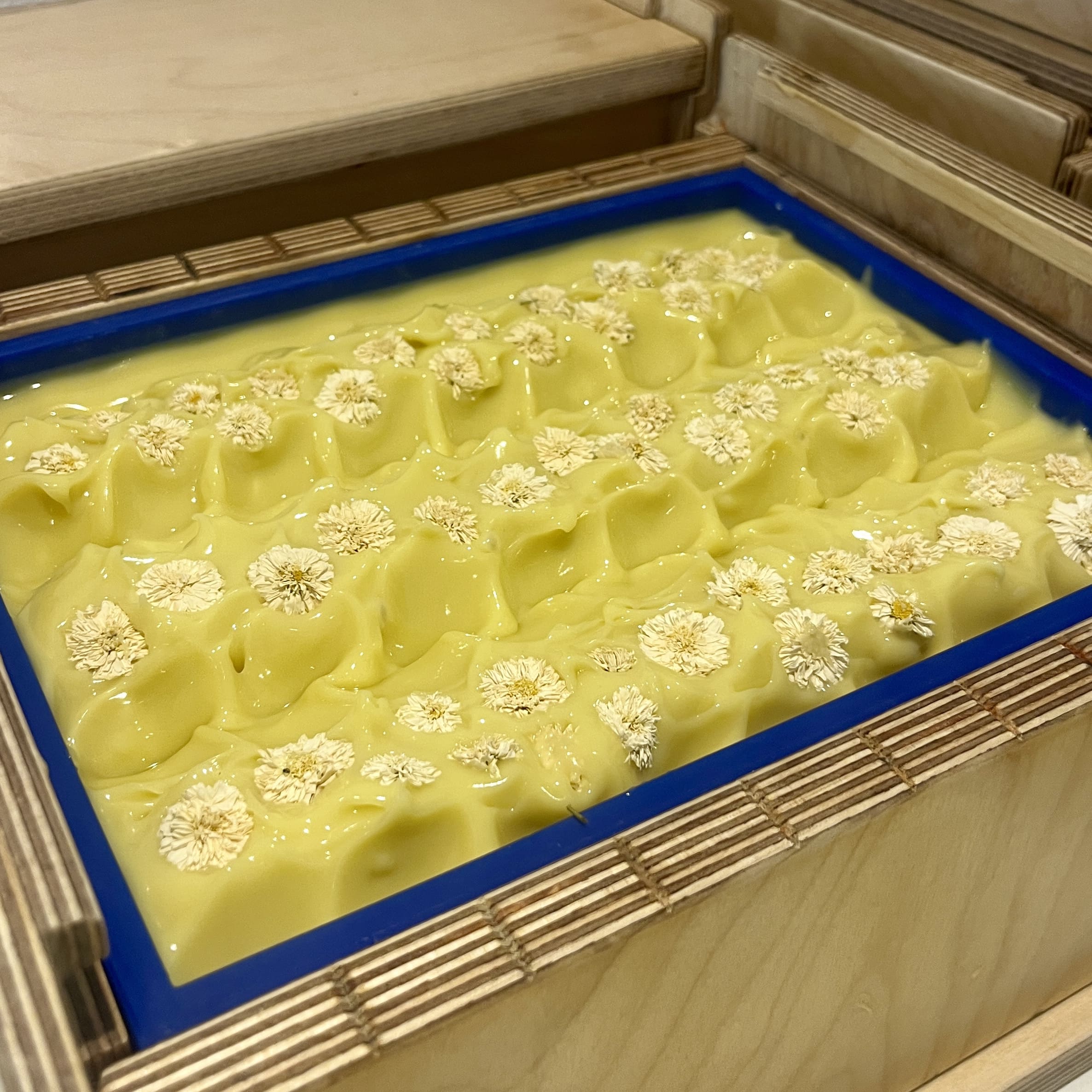 savon artisanal surgras pour les peaux sensibles fabriqué en Bretagne avec des fleurs de camomille bio